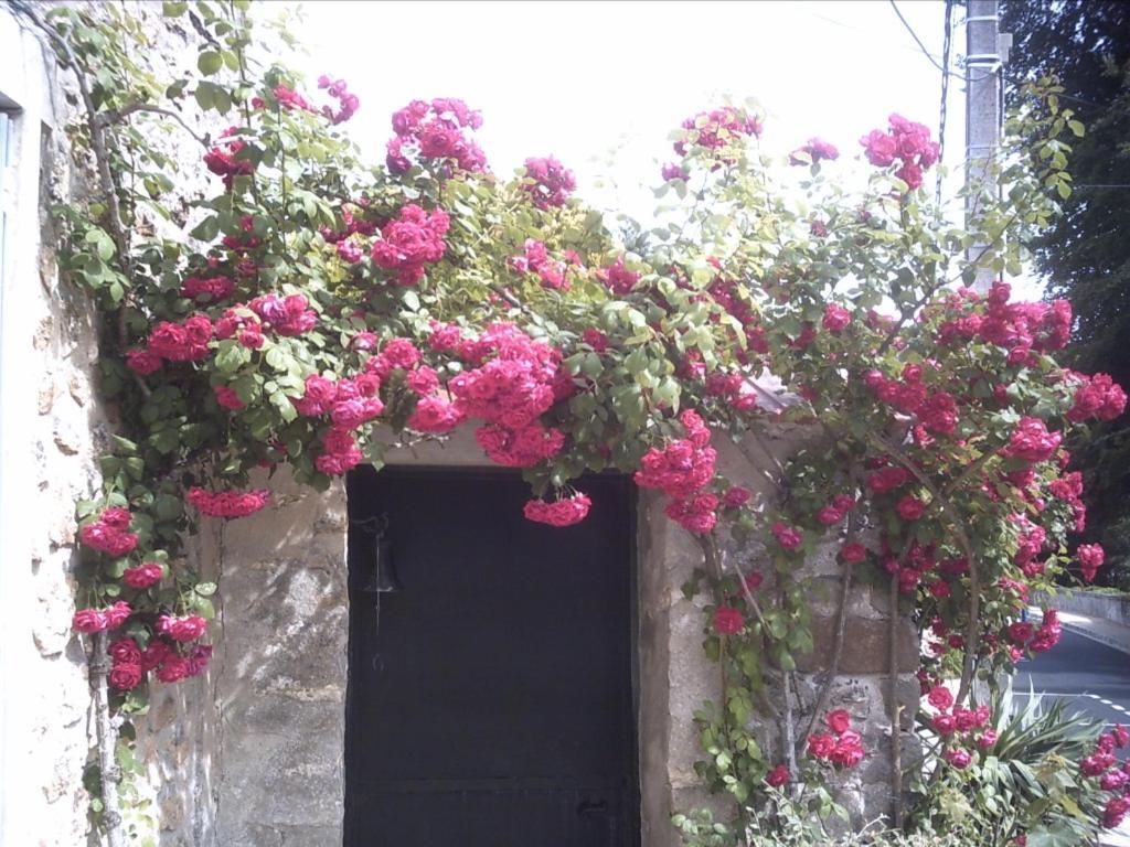 Les Maharanis Moisenay